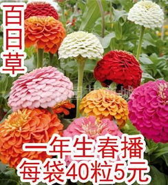 彩宇园艺商城 安徽六安绿宇果树花卉研究中心 果树苗 花木苗 观光园艺用大树 苗木 种苗 花卉种子